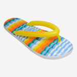 Havaianas Materassino Con Stampa image number null