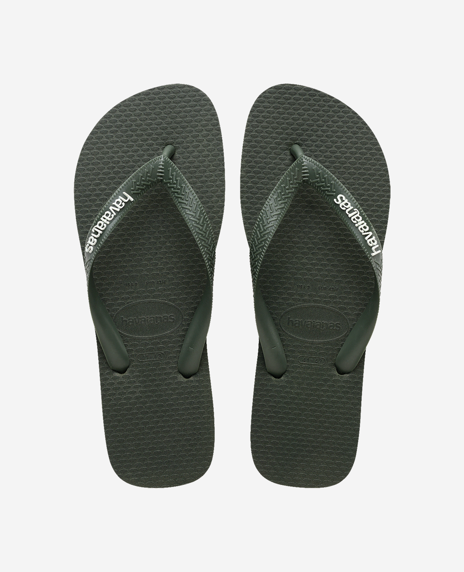 Havaianas Uomo Marrone/Bianco Infradito Top Rubber Logo Filete